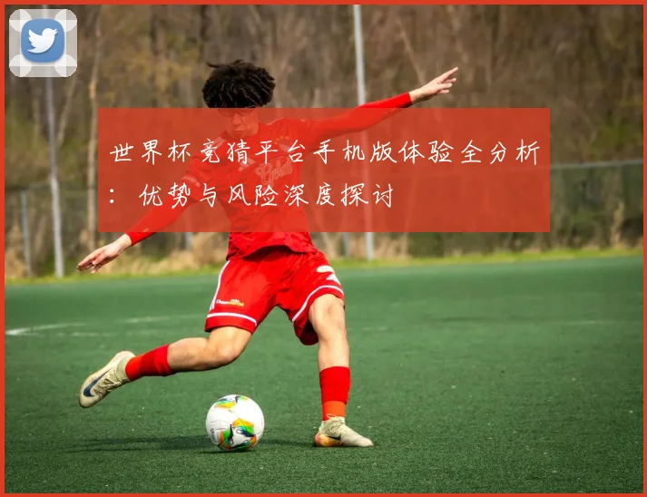 世界杯竞猜平台手机版体验全分析：优势与风险深度探讨
