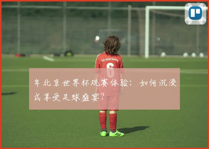 年北京世界杯观赛体验：如何沉浸式享受足球盛宴？
