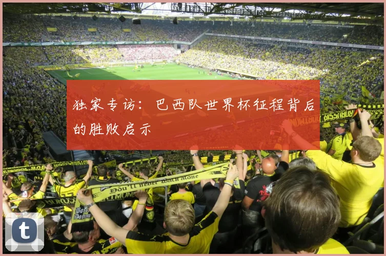 独家专访：巴西队世界杯征程背后的胜败启示