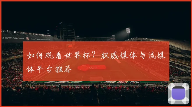 如何观看世界杯？权威媒体与流媒体平台推荐